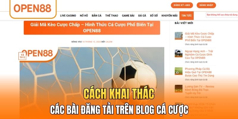 Cách khai thác các bài đăng tải trên blog cá cược